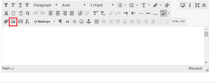 Text Editor with a space to type and icons for editing purposes. The second icon on the third row is highlighted with a red box. This is for adding images.