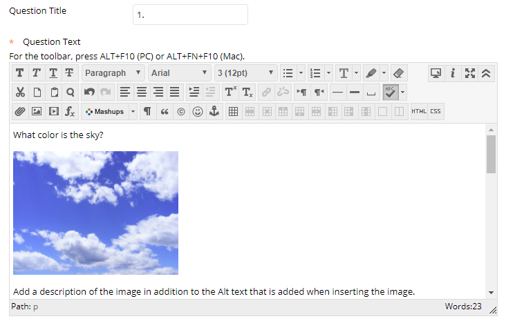 A text box with a text editor shows a question "what color is the sky?" with a picture of a blue sky and white clouds. A description of the image is listed below. 