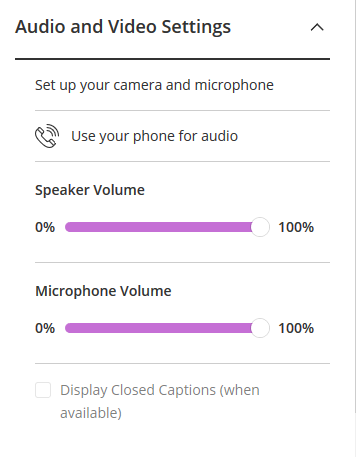 Blackboard Collaborate phone audio options.