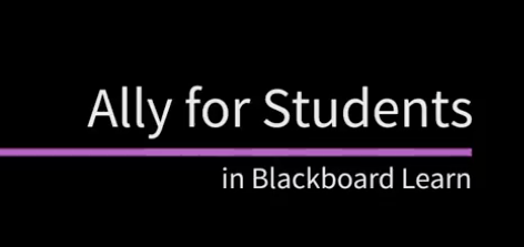 This image links to a video on Blackboard Ally for students.